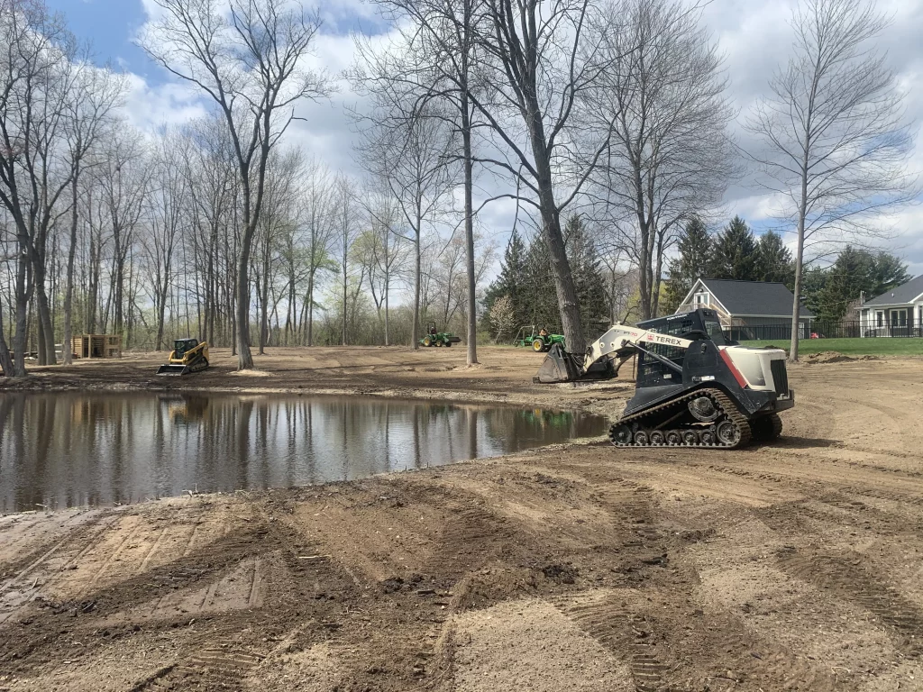 backyard drainage issue