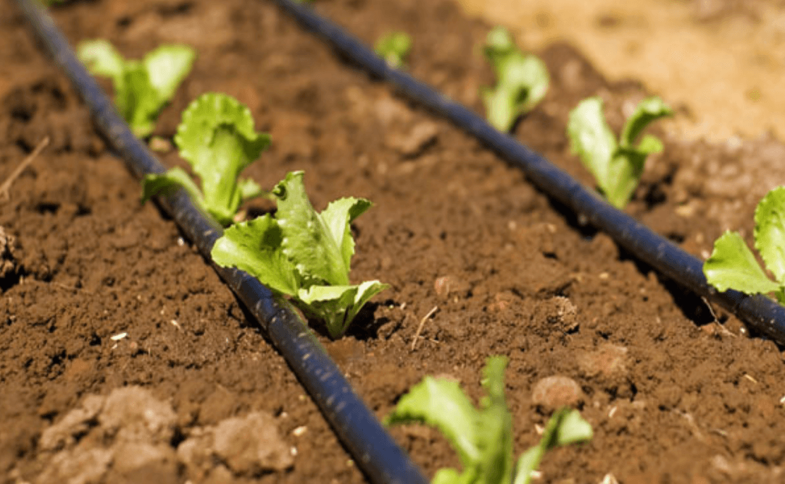 Soaker Hoses Irrigation System