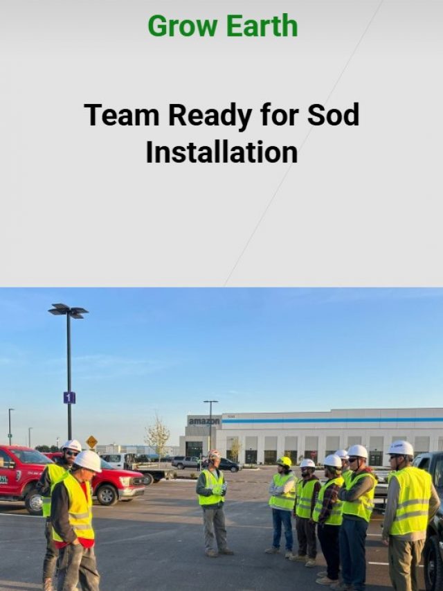 Professional Sod Installation in Michigan | Grow Earth Landscaping