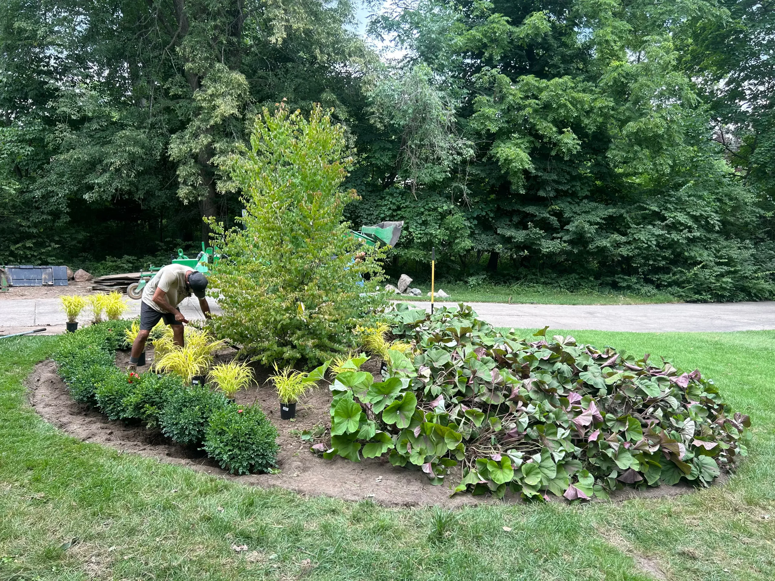 Front Yard Transformation in Bloomfield Hills