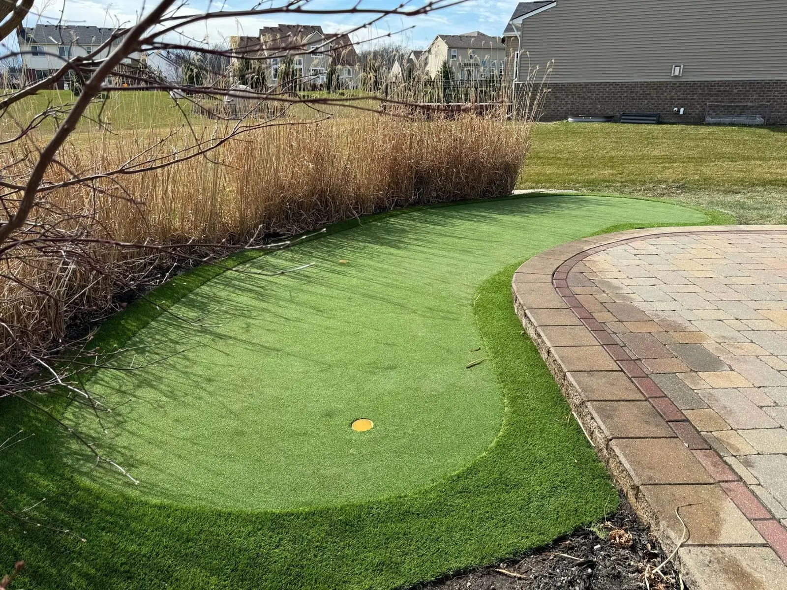 backyard putting green