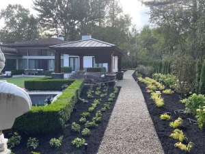 Arborvitae privacy hedge installation
