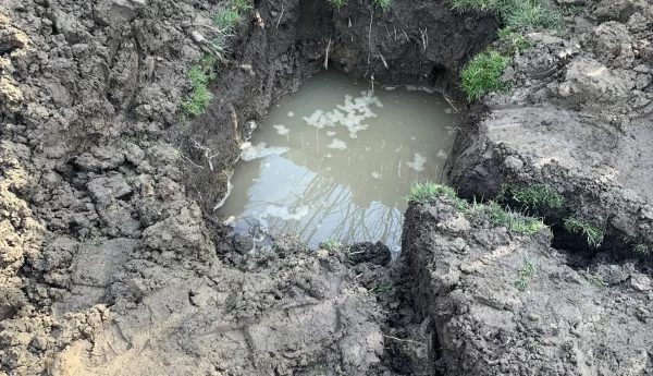 Standing water in backyard