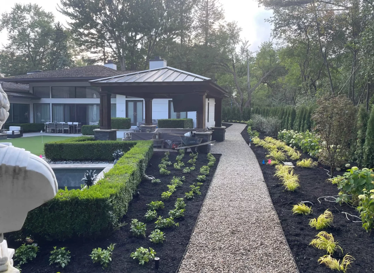 Arborvitae privacy hedge installation