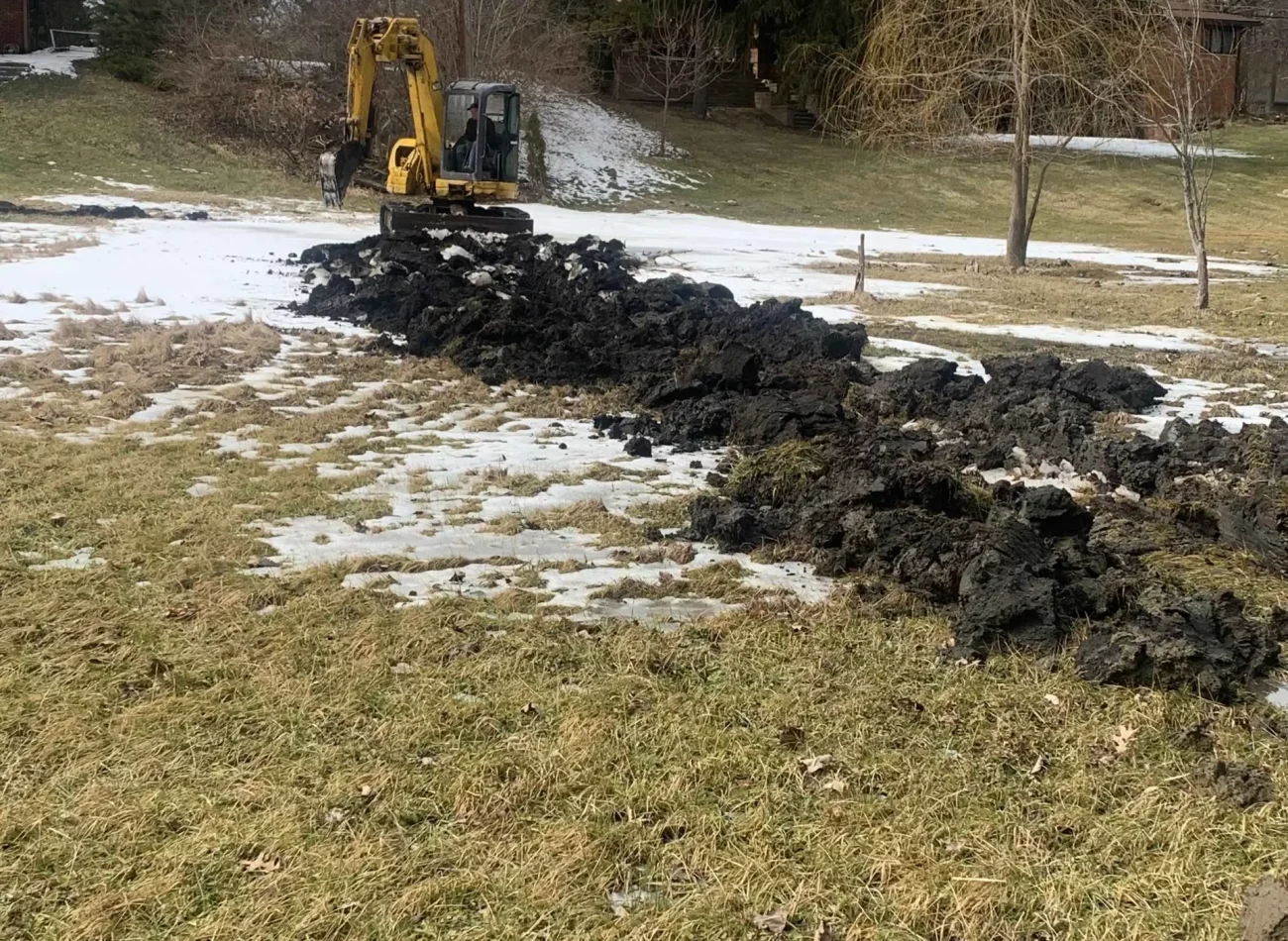 Lawn Restoration After Drainage Work